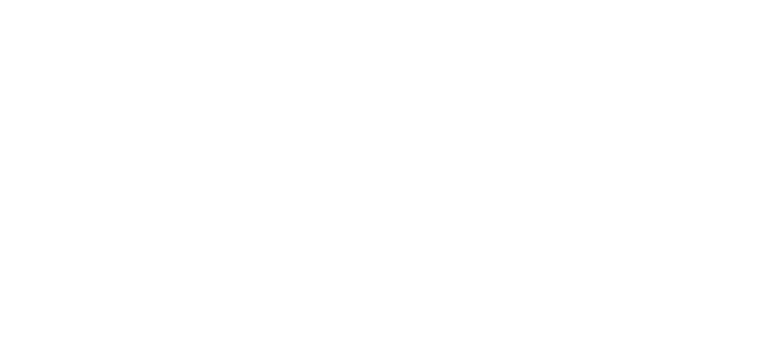 Feel's Lab